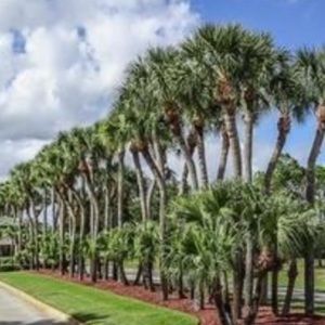 Meet your Posher, Helen